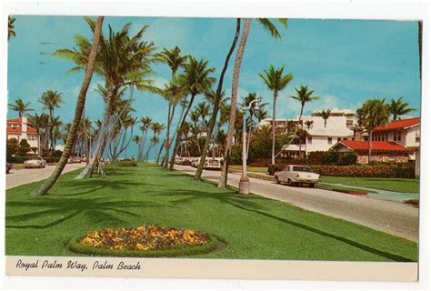 vintage palm beach.